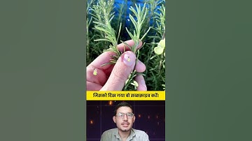 जिसको दिख गया वो सब्सक्राइब करें 🔥🥶 Amazing Videos 😵 #viralvideo #shorts