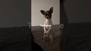 Терпение #вдохновение #мышление #рекомендации #жизнь #друзья