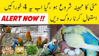 May shuru ho gia Ab ye khorake dena chor den | Stop using these foods from may to august | Foodlist screenshot 5