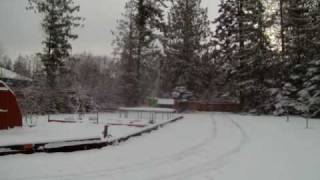 First Snow - Winter 2008 (part 2)