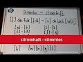 Deutsch: Konsonanten stimmlos - stimmhaft