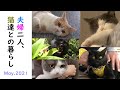 夫婦二人と猫達の1ヶ月総集編😺💕　May.2021