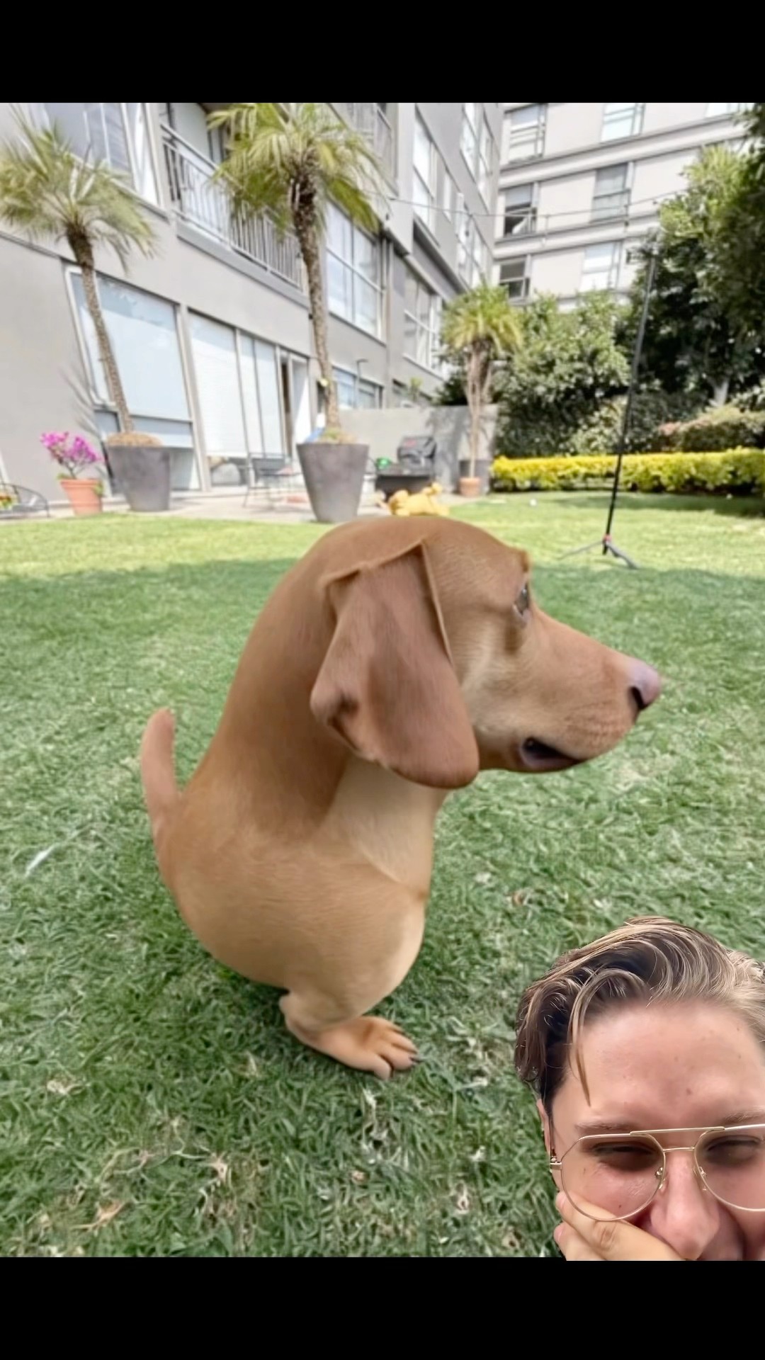Lo más ASQUEROSO que verás hoy ??
