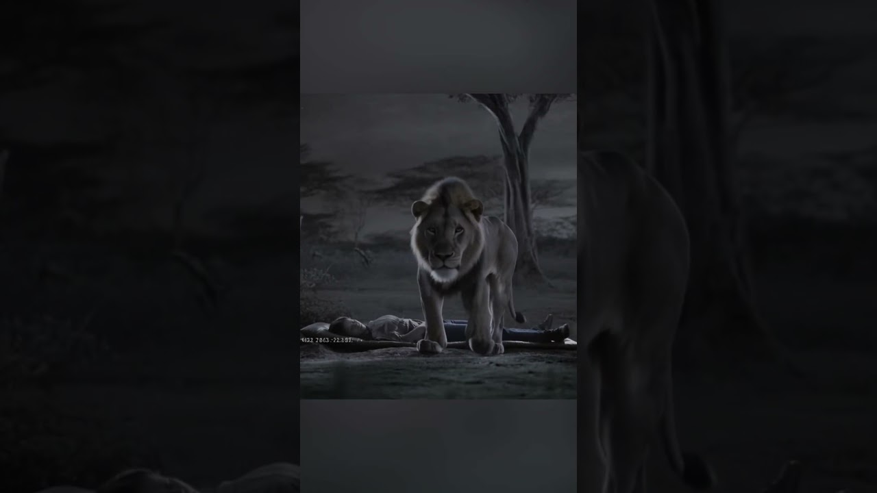 Камера видеонаблюдения 👀