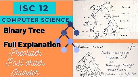 Binary Tree And Tree Traversal|| Preorder,Inorder, Postorder || ISC | Teachmint