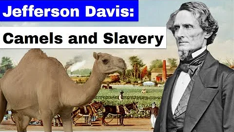 Jefferson Davis: Camels and Slavery