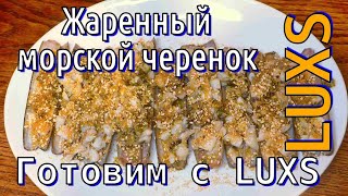 Жаренный морской черенок, ракушки Куто