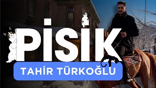 Pisik (Oy Pisiğim) - Tahir Türkoğlu | 2024 Resimi