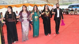 Şiyar Berwari Govenda Botani 2021 Hemka Düğünleri Gevaş Van