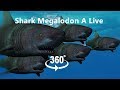 Shark Megalodon Live on Shipwrecks - VR 360 Video