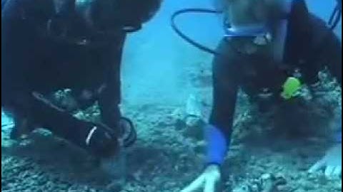 Resilience based management of Coral Reefs