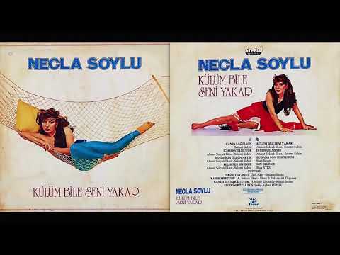 Necla Soylu / Külüm Bile Seni Yakar Full LP Albüm Lider Plak 1982