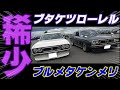 【旧車】実は希少なグレードのブタケツローレルと希少色だったケンメリ！