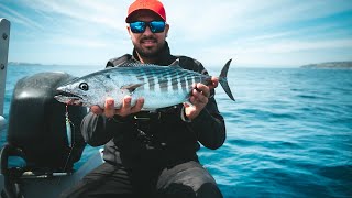 D'INCROYABLE CHASSES de pélamides en méditerranée ! Pêche au métal jig !