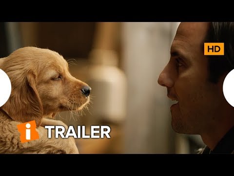 Meu Amigo Enzo | Trailer Legendado