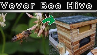 Vevor Bee Hive Build & Setup #asmr