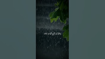 تلاوة خاشعة للشيخ ياسر الدوسري #راحة_نفسية #اكسبلور #لايك