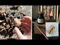 Cómo hacer NOGALINA, TINTA DE NUECES tradicional, natural y fácil