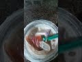 vlog mukbang trà sữa