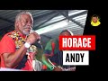 Horace Andy In Rub A Dub Style