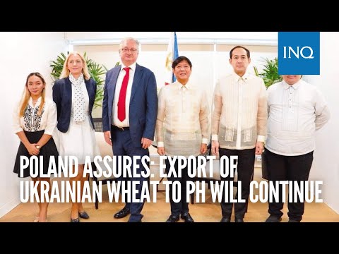 Poland assures: Export of Ukrainian wheat to PH will continue