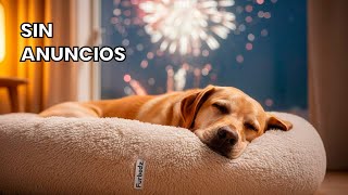 Relaja A Tu Perro En Año Nuevo Música Calmante 12 Horas Antipirotecnia
