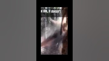 Day 10 of posting memes until 100 subscribers  help me get 100 subs on this video last day of this