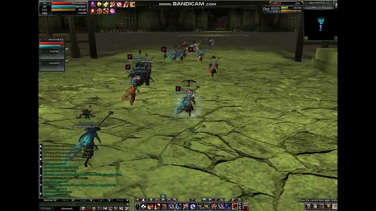 UPRISING     TIGER LABYRINTH