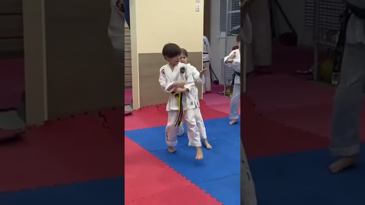 Готовимся к аттестации на зелёный пояс 