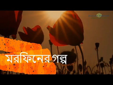 History Of Morfin ( মরফিনের ইতিহাস)