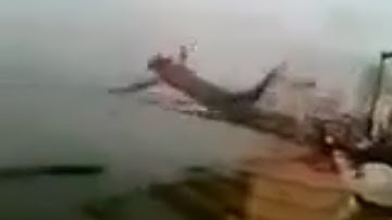 레바논 다이빙 (유명 고어)