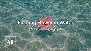 Floating Flower Wallpaper - Calm Water Relaxation Music | 4K Aesthetic Background