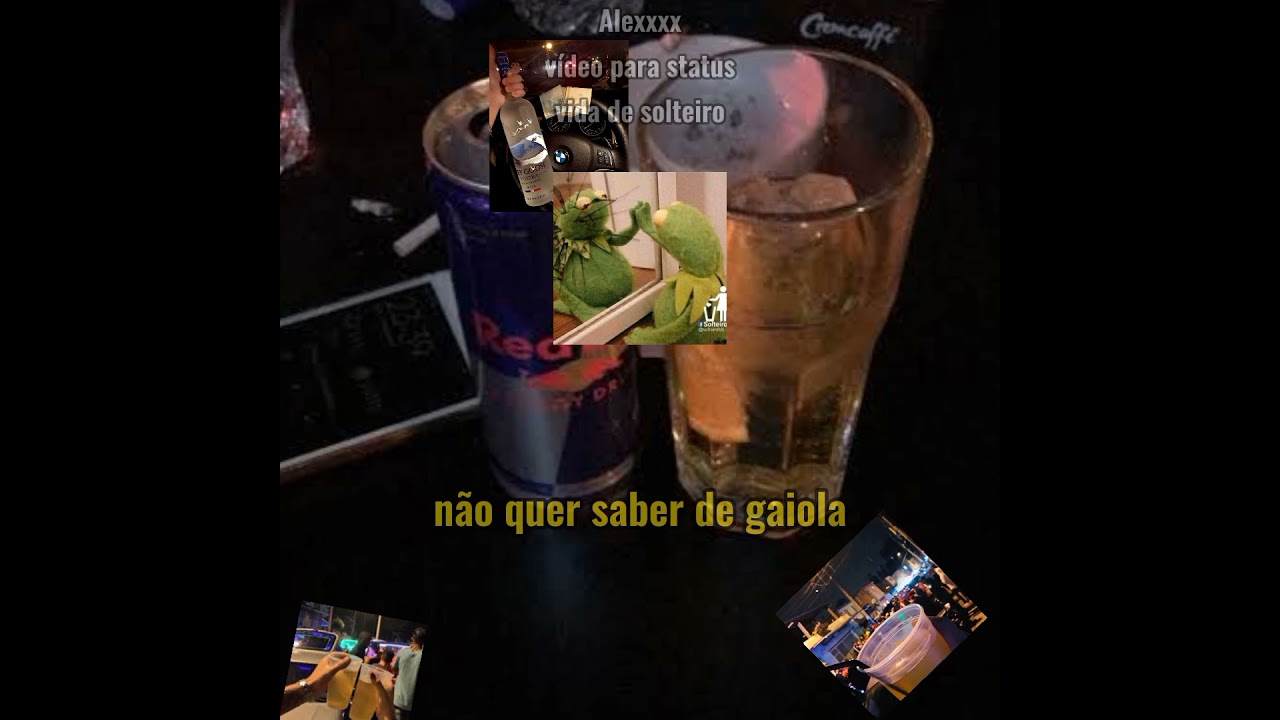 é Que Passarinho Que Voa Nao Quer Saber De Gaiola