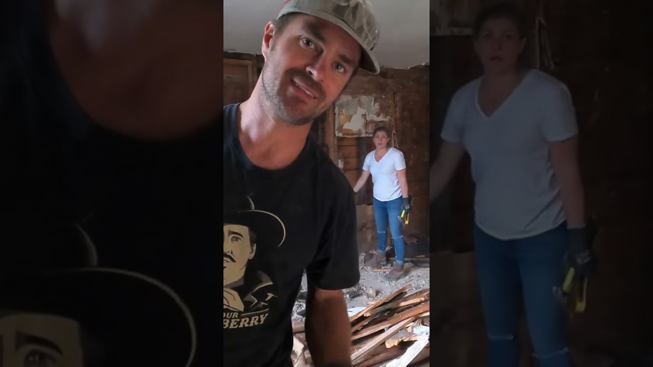 Kitchen Demo Reveals More Mold 