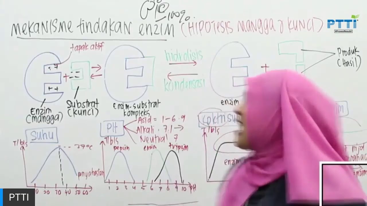 Ptti Biologi Spm Mekanisme Tindakan Enzim Youtube