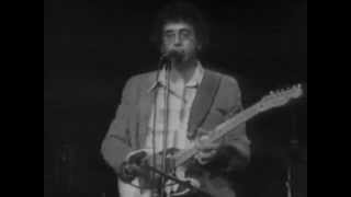 David Bromberg - Danger Man - 4/15/1977 - Capitol Theatre (Official) chords