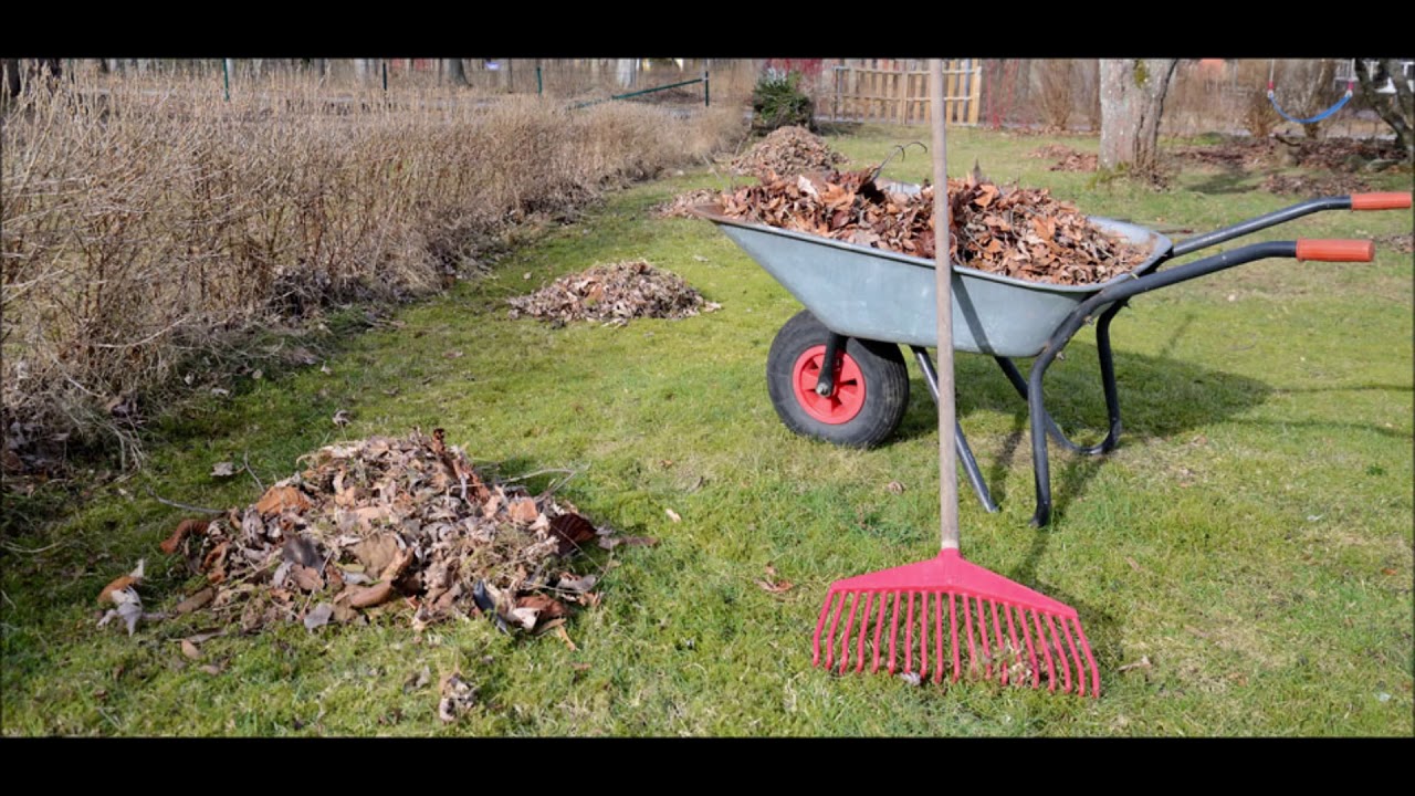 Yard Debris Removal Services Omaha NE Omaha Junk Disposal (402) 590