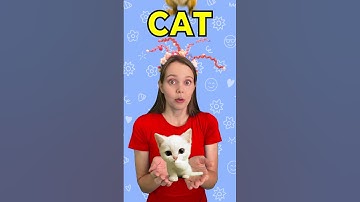 Fun Rhyming Words for Kids | Learn English for Kids