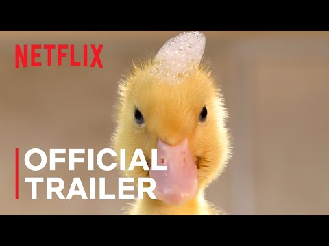 Tiny Creatures | Official Trailer | Netflix