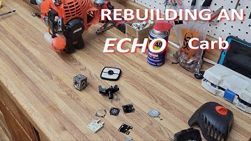 Echo SRM225 carb rebuild