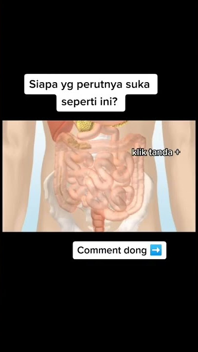 JADI INI PENYEBAB PERUT KERONCONGAN GAIS #Shorts