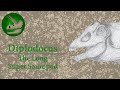 Diplodocus The Long Super Sauropod Diplodocus The Long Super Sauropod