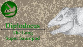 Diplodocus | The Long Super Sauropod