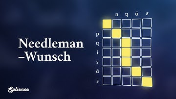 How similar are two words? | Needleman–Wunsch #SoME4