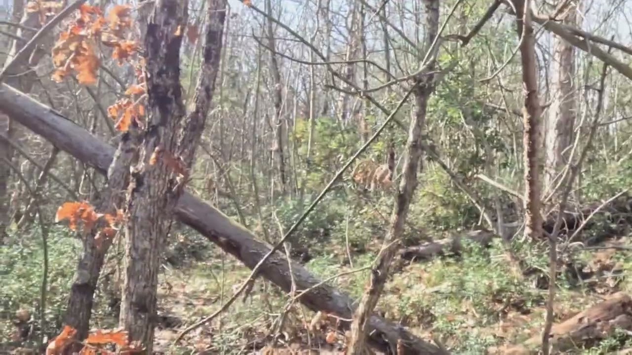 20 Φεβρουαρίου 2026