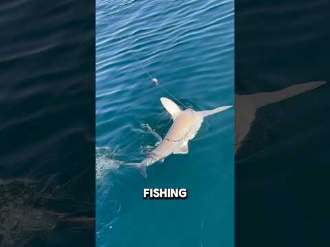 Went fishing today…