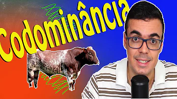 O que é codominância de um exemplo?