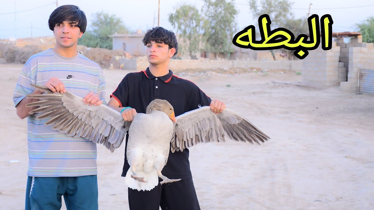 فلم قصير.  المشاكل العشائرية