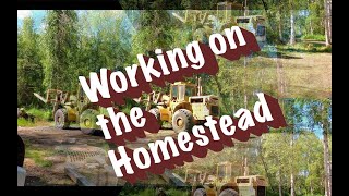 Clearing trees with a CAT 966!