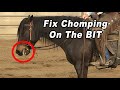 Horse CHOMPING On The BIT and How To Fix It - Horse Training Problems